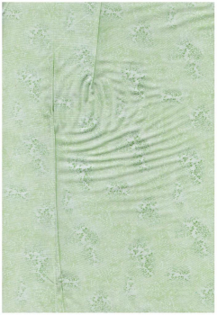 celery Zweige, R.K.